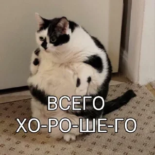 😒