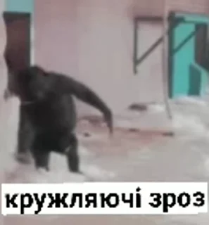 💃