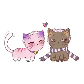 🐱