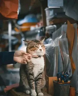 😒