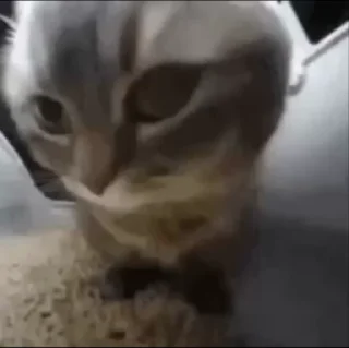 🫠