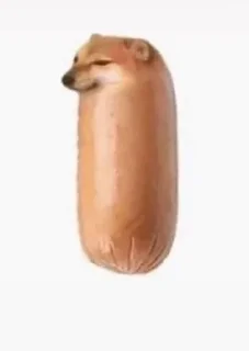 🌭