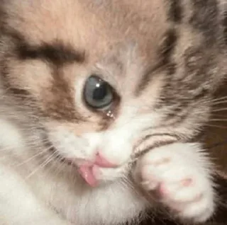 😭