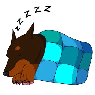 😴
