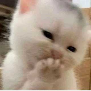 🤭