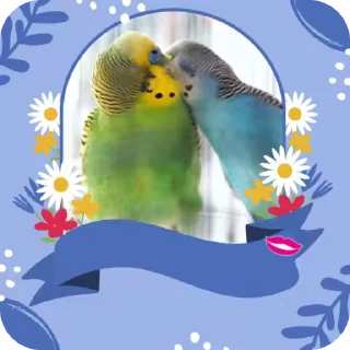 😘