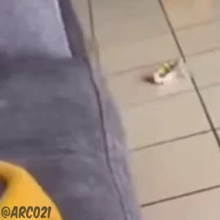 👀