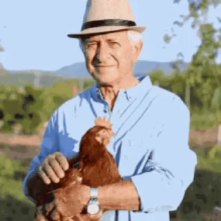 🐔