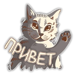 Дай Винчик (@vino_tg)
