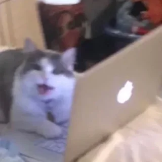 🙂