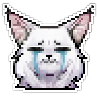 😿