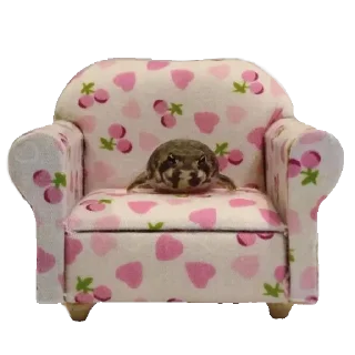 🐸