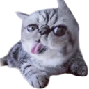 😝