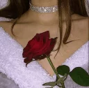 🌹