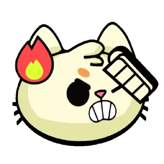 😾
