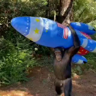 🚀