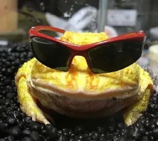 😎