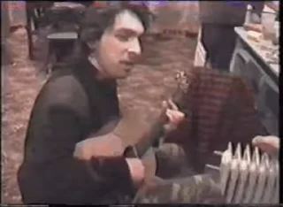 🎸