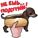 🌭