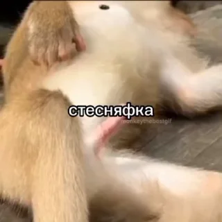 😔