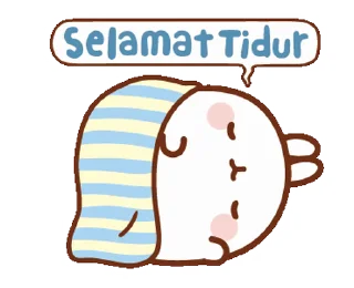 💤