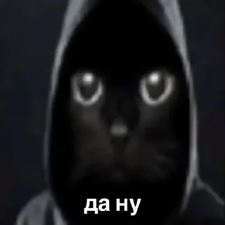 😎