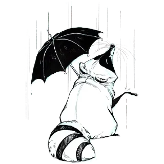 ☔