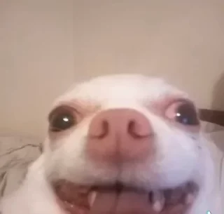 🧊