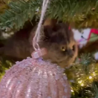 ☃