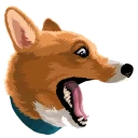 🐶
