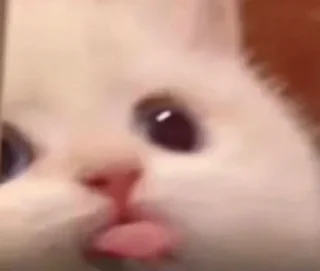 😛