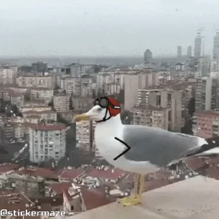 😎