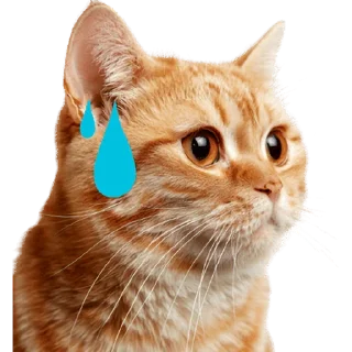 😥