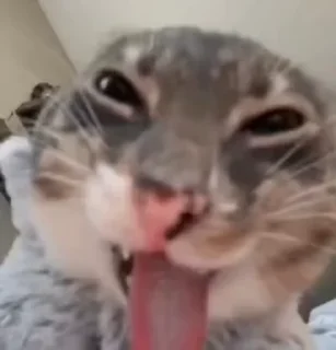 😝