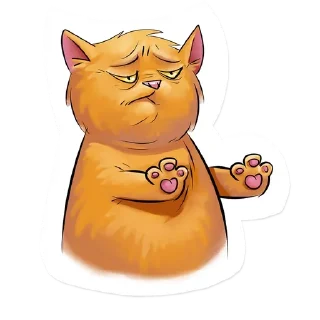 😿