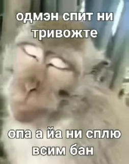 😪