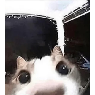 👹
