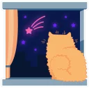 ✨