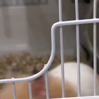 👀
