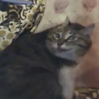😦