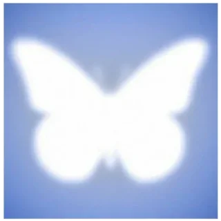 🦋