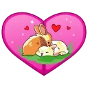 🐇
