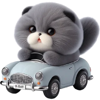 🚗