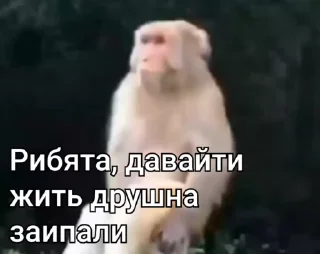 😒