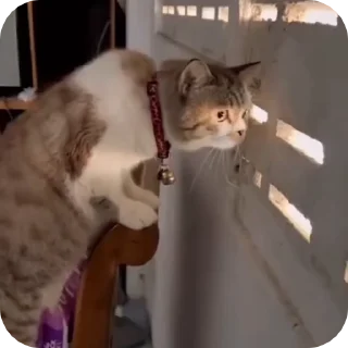 😳