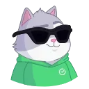 😎