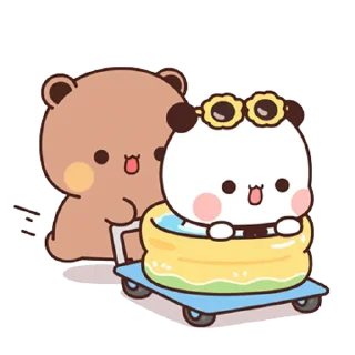🐻