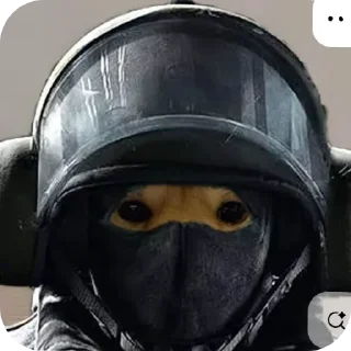 🐶