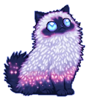 🐱