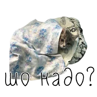 🤔